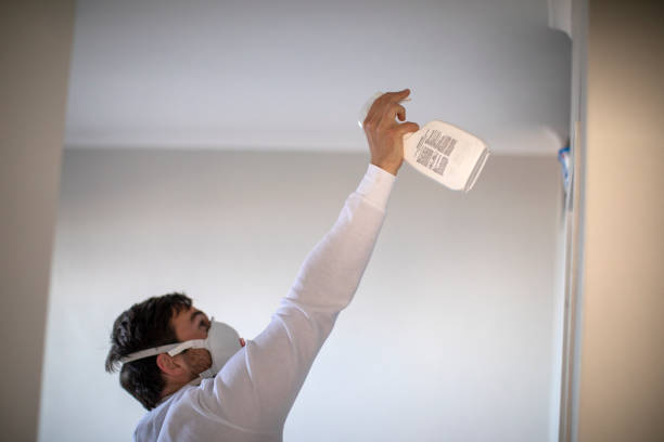 Crawl Space Mold Removal in Las Animas, CO