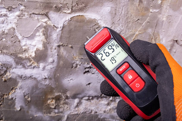 Best Certified Mold Removal  in Las Animas, CO