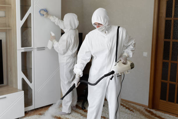 Best Attic Mold Removal  in Las Animas, CO