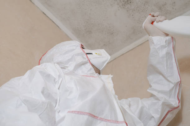 Best Mold Damage Repair  in Las Animas, CO