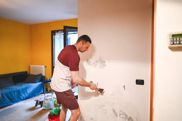 Best Certified Mold Removal  in Las Animas, CO